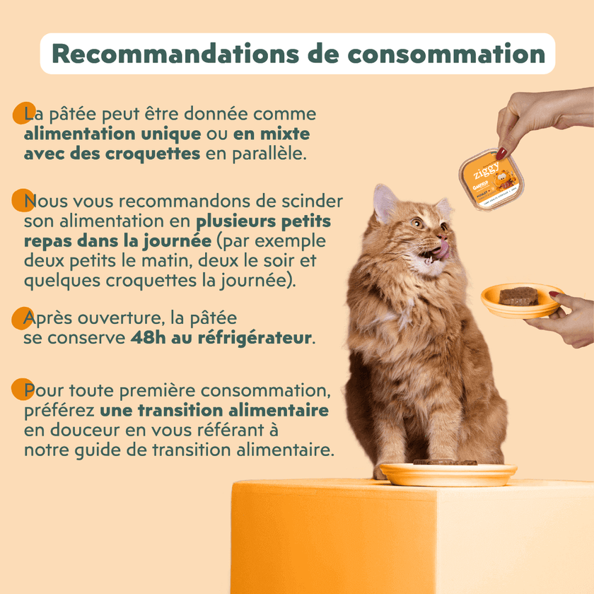 Recommandation de consommation de la pâtée pour chat adulte stérilisé Ziggy en édition limité avec Garfield