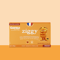 Lot de 4 pâtées de 100g Ziggy pour chat adulte stérilisé en édition limitée avec Garfield 