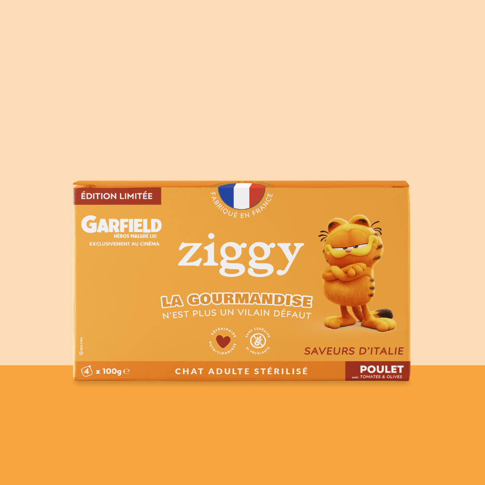 Boîte de 4 pâtées de 100g pour chat adulte stérilisé au poulet Ziggy en édition limité avec Garfield