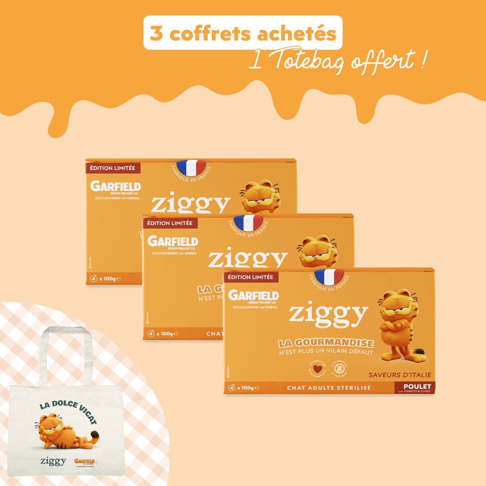 Boîte de 4 pâtées de 100g pour chat adulte stérilisé au poulet Ziggy en édition limité avec Garfield