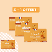 3 boîtes de pâtées pour chat adulte stérilisé en édition limitée Garfield x Ziggy avec une offre pour recevoir un lot de 4 pâtées Garfield offert !