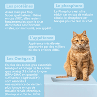 Composition de la pâtée Ziggy Vet pour chat souffrant d'insuffisance rénale chronique (IRC), saine et sans amidon