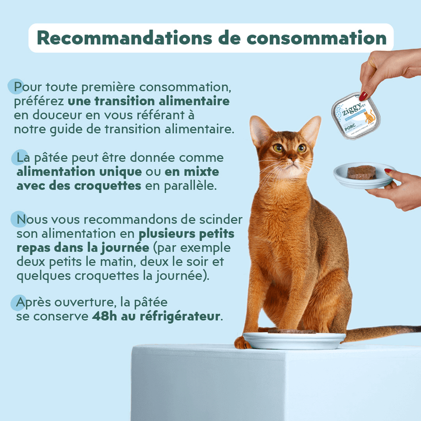 Recommandations de consommation de la pâtée Ziggy Vet pour chat souffrant d'insuffisance rénale chronique (IRC), saine et sans amidon