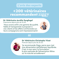 Avis vétérinaire de la pâtée Ziggy Vet pour chat souffrant d'insuffisance rénale chronique (IRC), saine et sans amidon