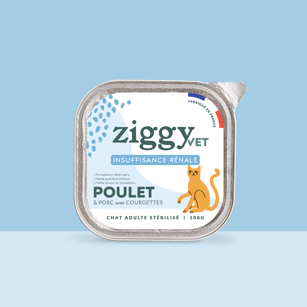 Barquette de 100g de pâtée Ziggy Vétérinaire pour chat adulte IRC insuffisance rénale chronique