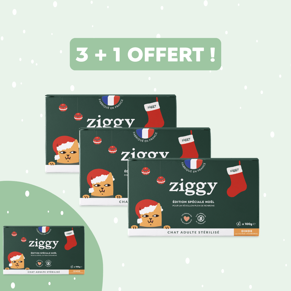 Offre 3 +1 Pâtées pour chat de Noël Ziggy à la dinde courge et cranberries