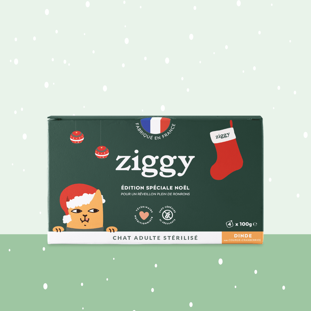 Boite de 4 pâtées de 100g à la dinde spéciale Noël pour chat adulte stérilisé Ziggy