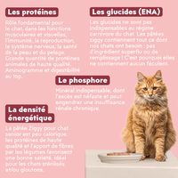 Composition de la pâtée pour chat senior Ziggy au boeuf, saine et sans amidon