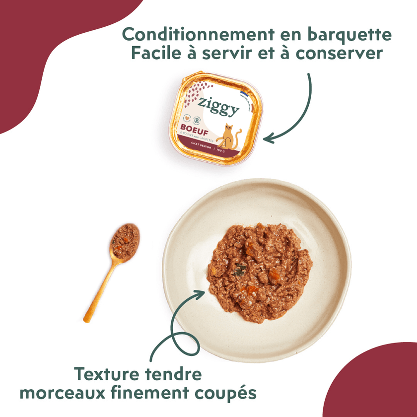 texture et conditionnement de la pâtée pour chat senior Ziggy au boeuf, saine et sans amidon