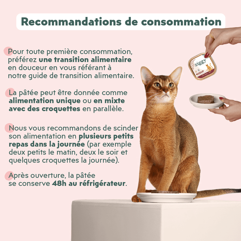 Recommandations de consommation de la pâtée pour chat senior Ziggy au boeuf, saine et sans amidon