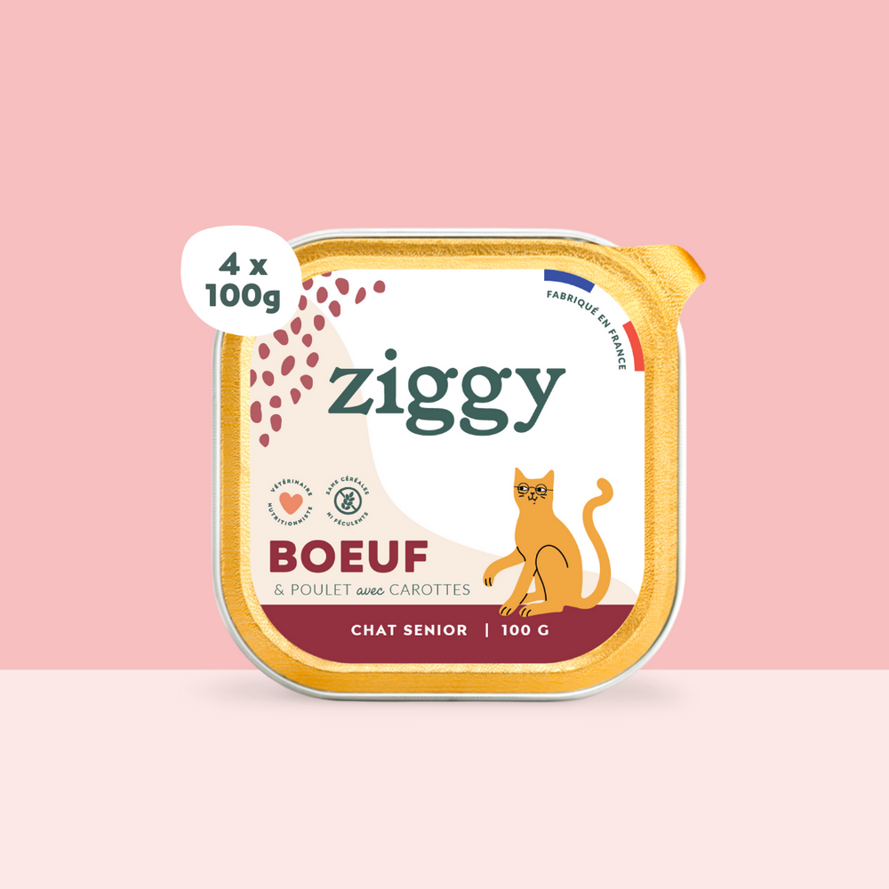 Boite de 4 pâtées Ziggy de 100g pour chat senior au boeuf, saines et sans céréales