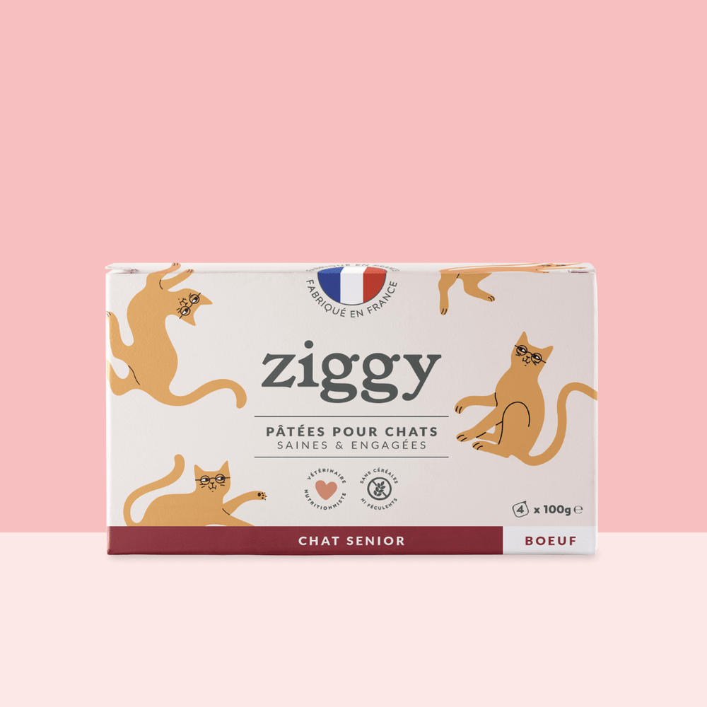 Boite de 4 pâtées Ziggy de 100g pour chat senior au boeuf, saines et sans céréales