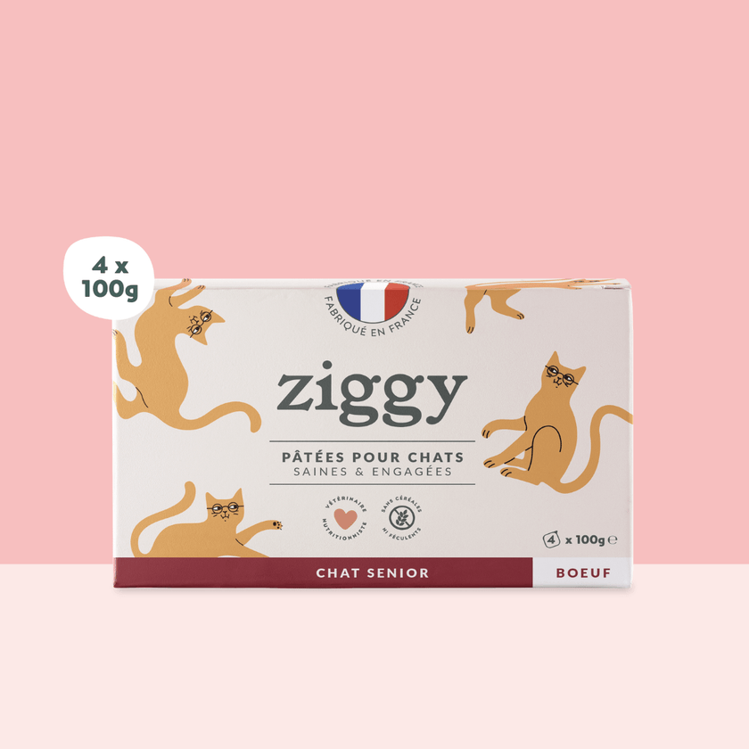 Boite de 4 pâtées Ziggy de 100g pour chat senior au boeuf, saines et sans céréales