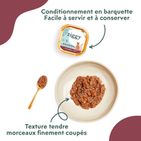 Conditionnement et texture de la pâtée pour chat senior au saumon Ziggy