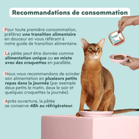 Recommandations de consommation de la pâtée pour chat senior au saumon Ziggy