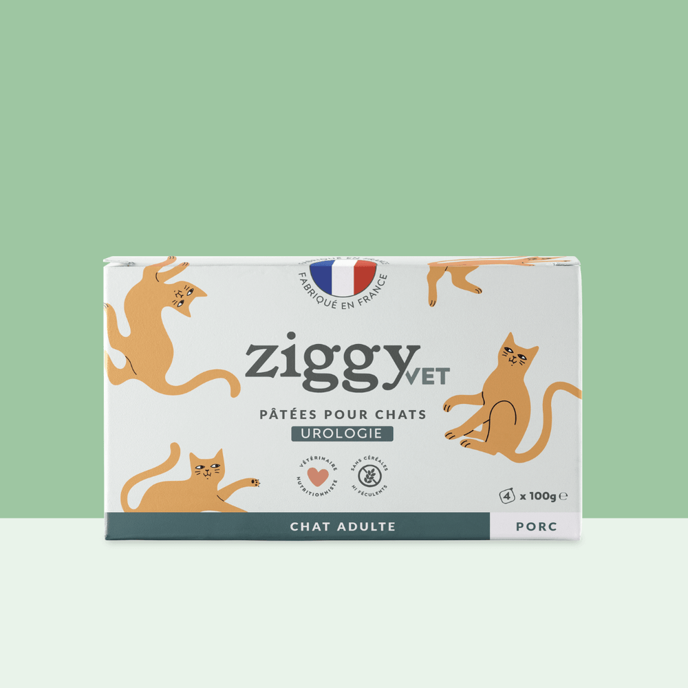 Boite de 4 pâtées Ziggy Vet de 100g pour chat adulte souffrant de troubles urinaires