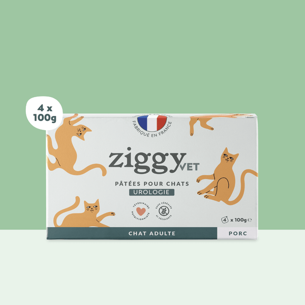 Barquette de 100g de pâtées Ziggy pour chat adulte souffrant de troubles urinaires, saines et sans céréales