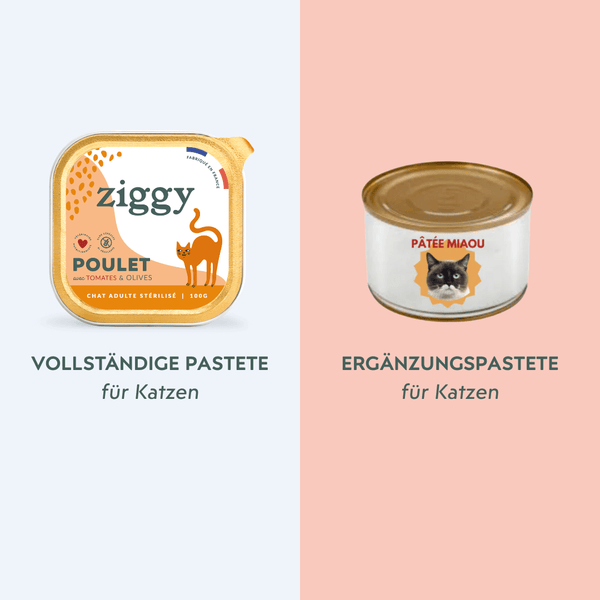 Ziggy - Meine Katze ist älter (Senior), welches Futter sollte ich ihr geben?