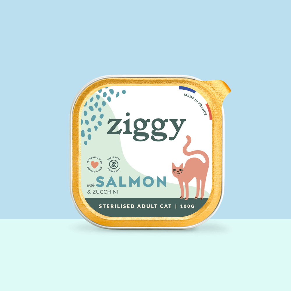Barquette de 100g de pâtées Ziggy pour chat adulte stérilisé au saumon, saines et sans céréales