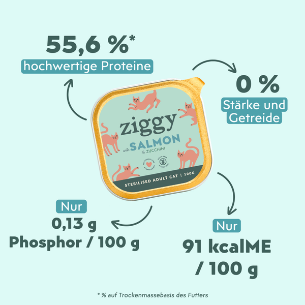 Ingrédients de la pâtée Ziggy pour chat adulte stérilisé au saumon, saine et sans amidon