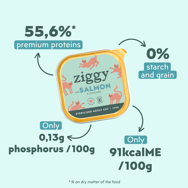 Ingrédients de la pâtée Ziggy pour chat adulte stérilisé au saumon, saine et sans amidon