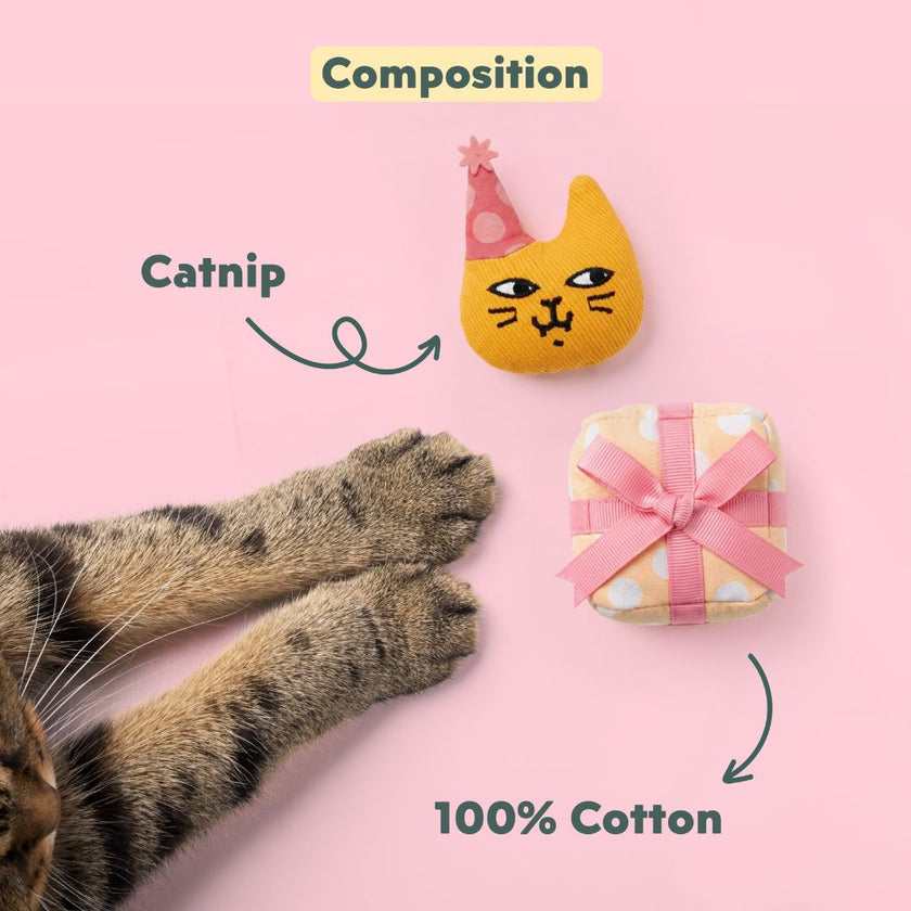 Ziggy Party Edition cat plush toy, soft cuddly design