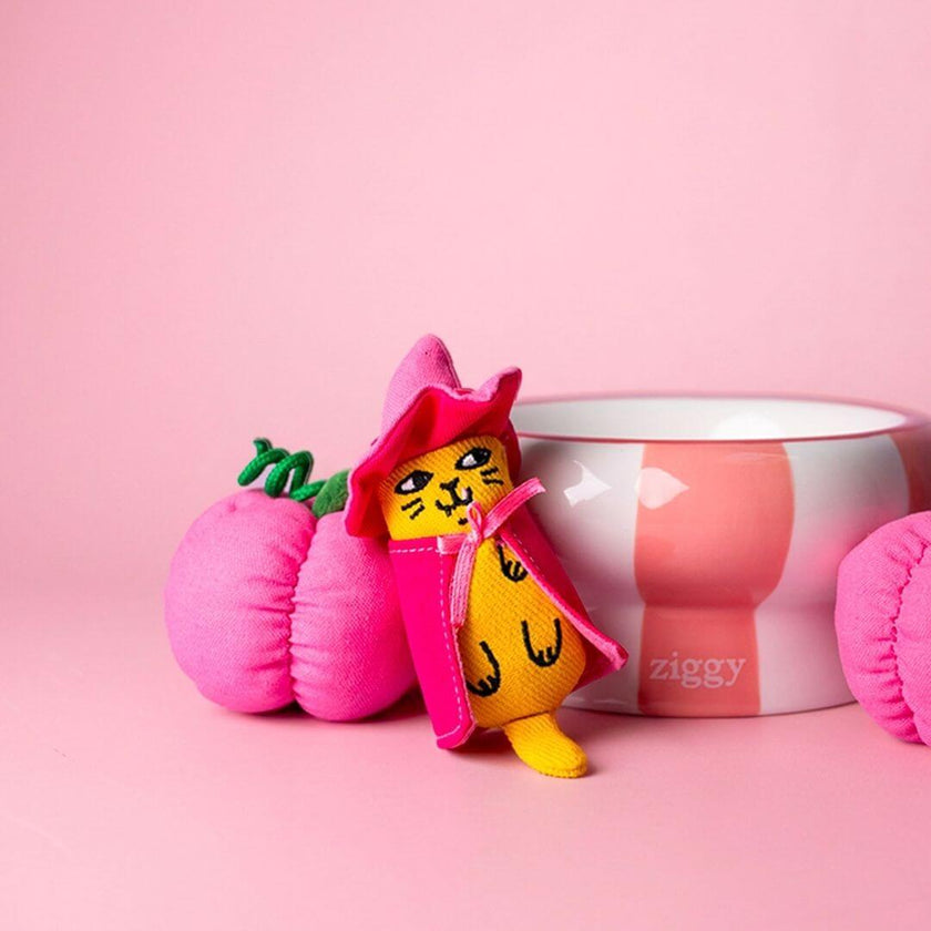 Peluche Halloween à la cataire Ziggy en sorcière, posée près de citrouilles roses et d’une gamelle rayée