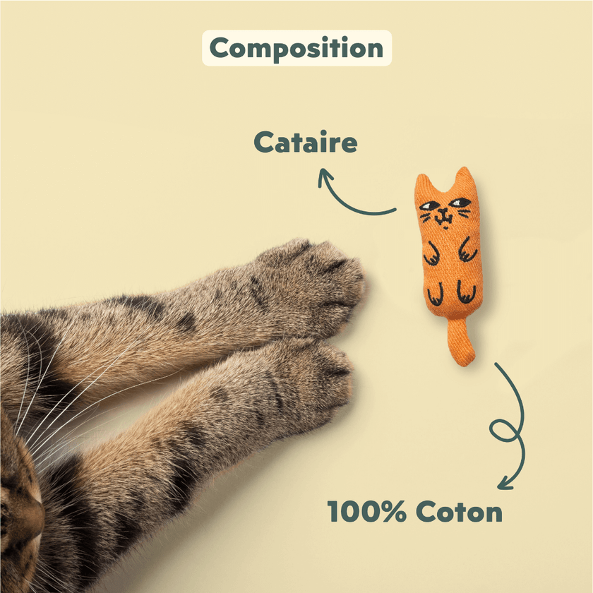 Composition des Peluches pour chat à la cataire Ziggy