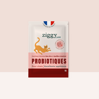 1 sachet de probiotiques de 1g Ziggy pour chat et chaton qui améliorent la digestion chez le chat