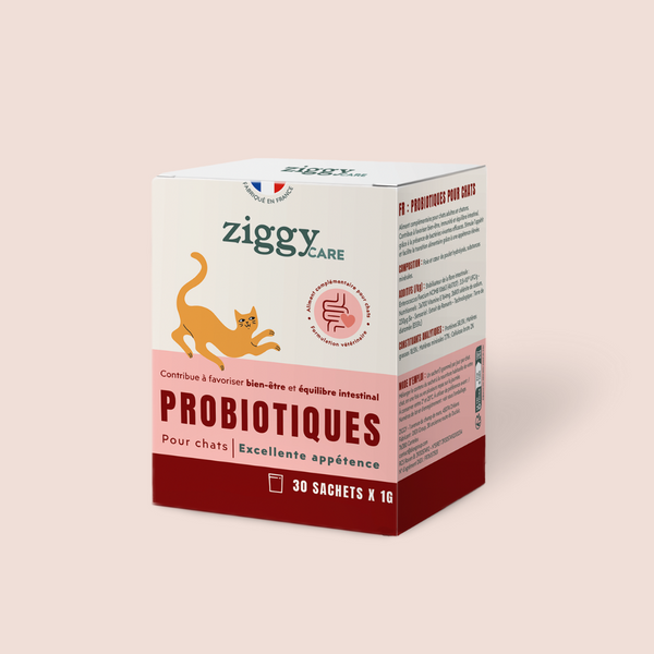 1 sachet de probiotiques Ziggy pour chat et chaton de 1g qui améliorent la digestion chez le chat