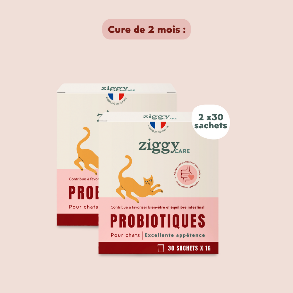 Probiotiques Chat - Flore Digestive