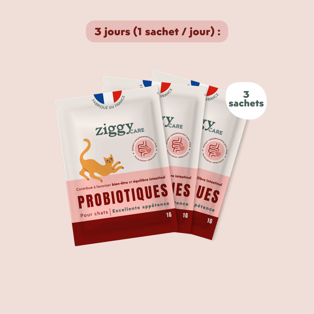 3 sachets de probiotiques pour chat et Chaton Ziggy qui contribuent à la santé digestive du chat