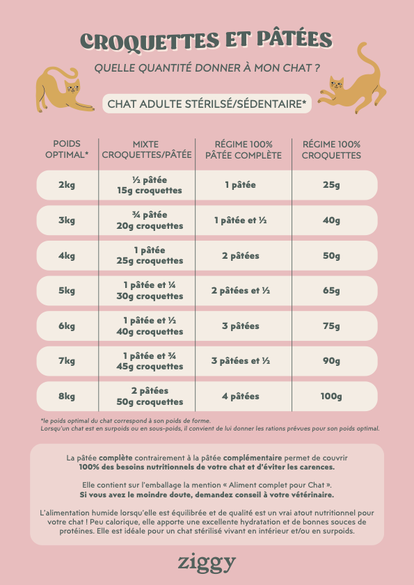 How Much Food Should an Adult Indoor Cat Eat: Expert Feeding Guide