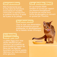 Composition de la pâtée pour chat adulte stérilisé au poulet, saines, à base d'ingrédients naturelles et sans amidon ou céréales