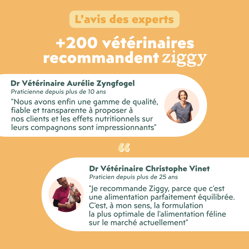 Avis vétérinaire de la pâtée pour chat adulte stérilisé au poulet, saines, à base d'ingrédients naturelles et sans amidon ou céréales