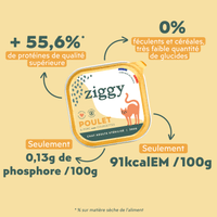 Ingrédients de la pâtée pour chat adulte stérilisé au poulet, saines, à base d'ingrédients naturelles et sans amidon ou céréales