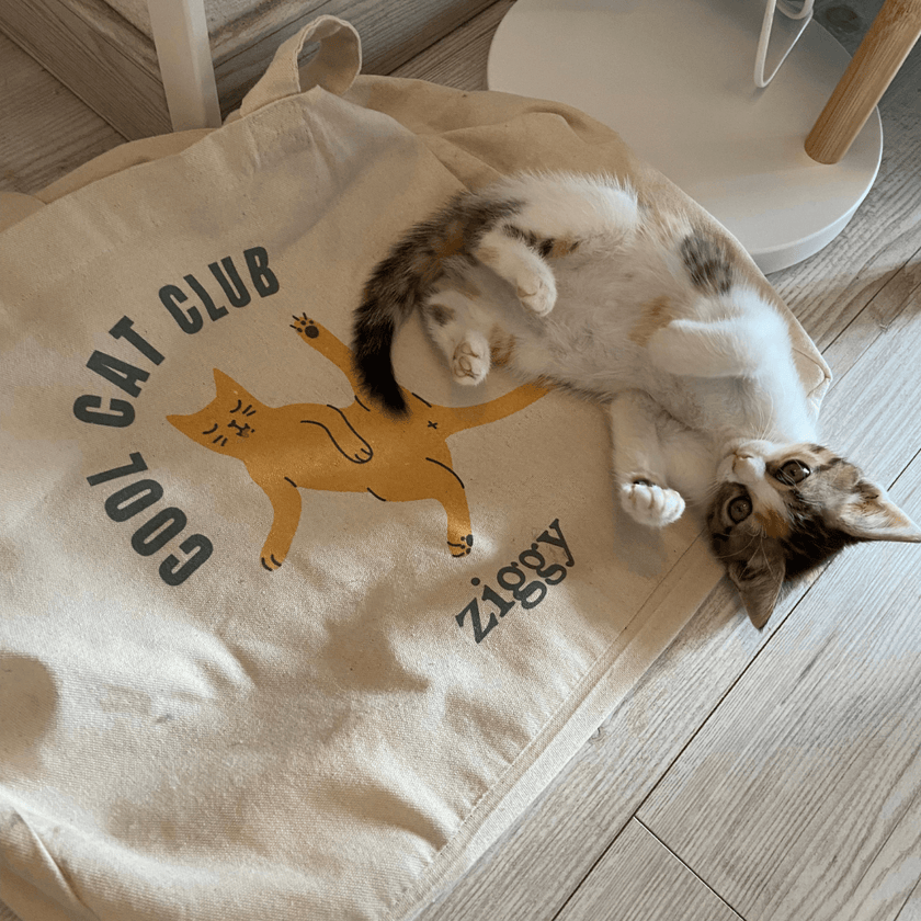 Totebag - Cool Cat Club