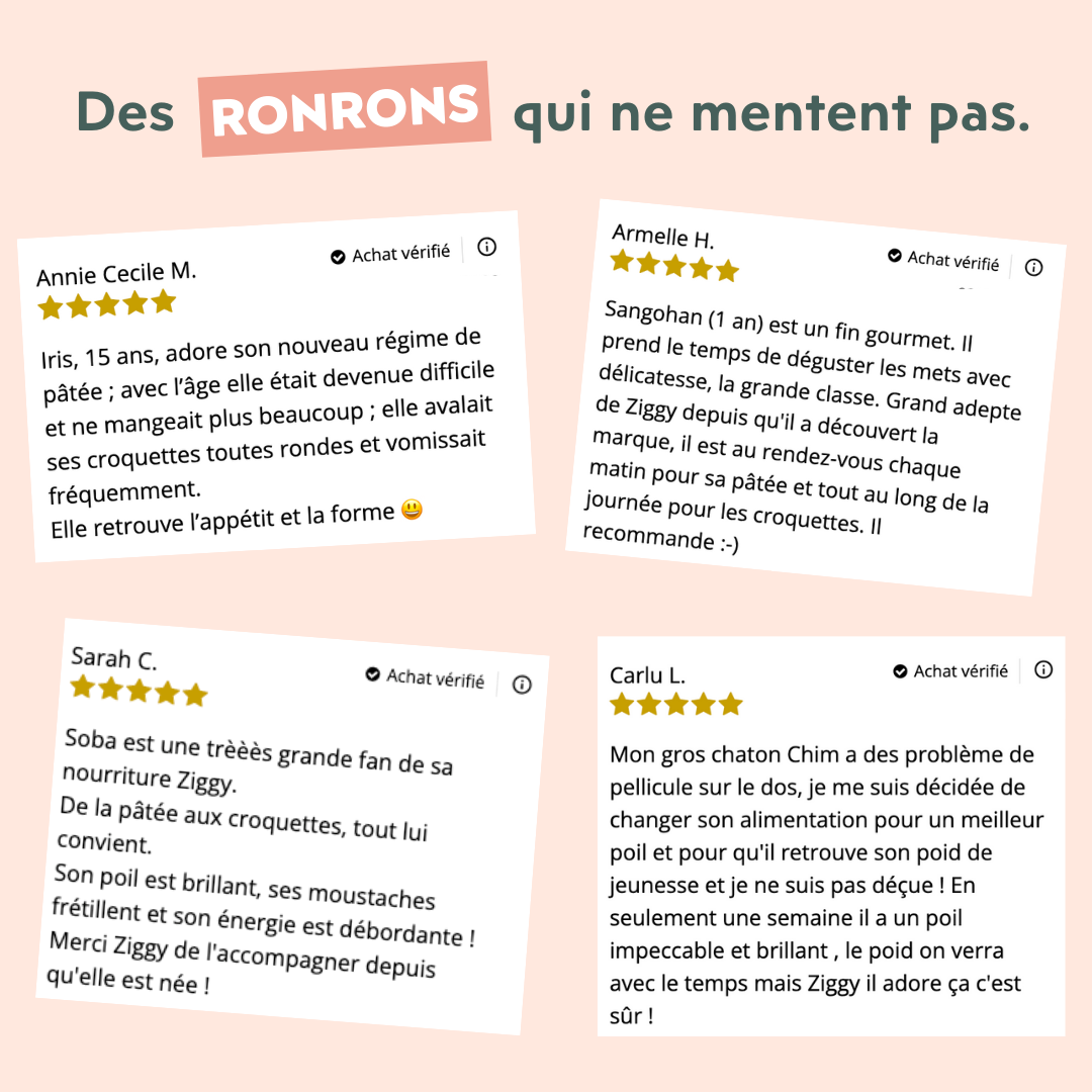 Avis clients sur les croquettes et pâtées pour chat Ziggy