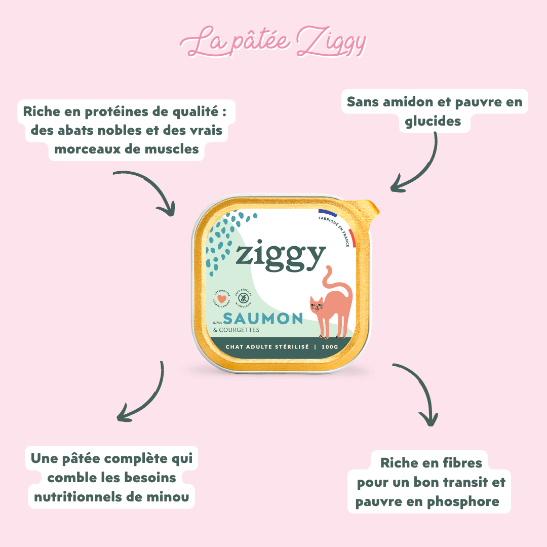 Les bienfaits de la pâtées pour chat stérilisé Ziggy en cas d'obésité