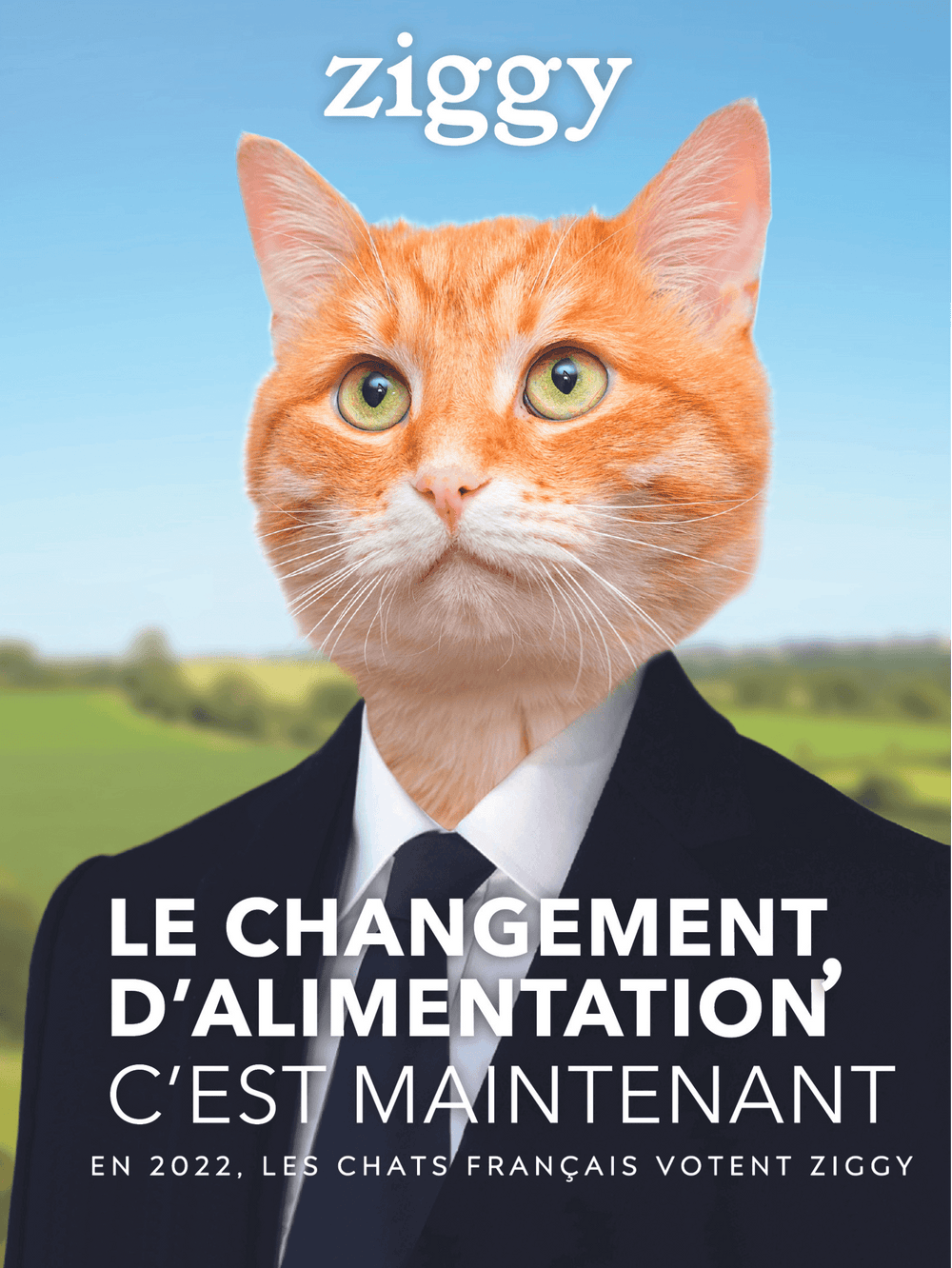 Affiche Ziggy le changement d'alimentation c'est maintenant de la campagne présidentielle