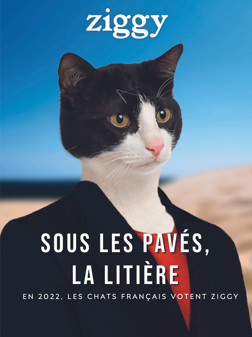 Affiche Ziggy sous les pavés la litière de la campagne présidentielle