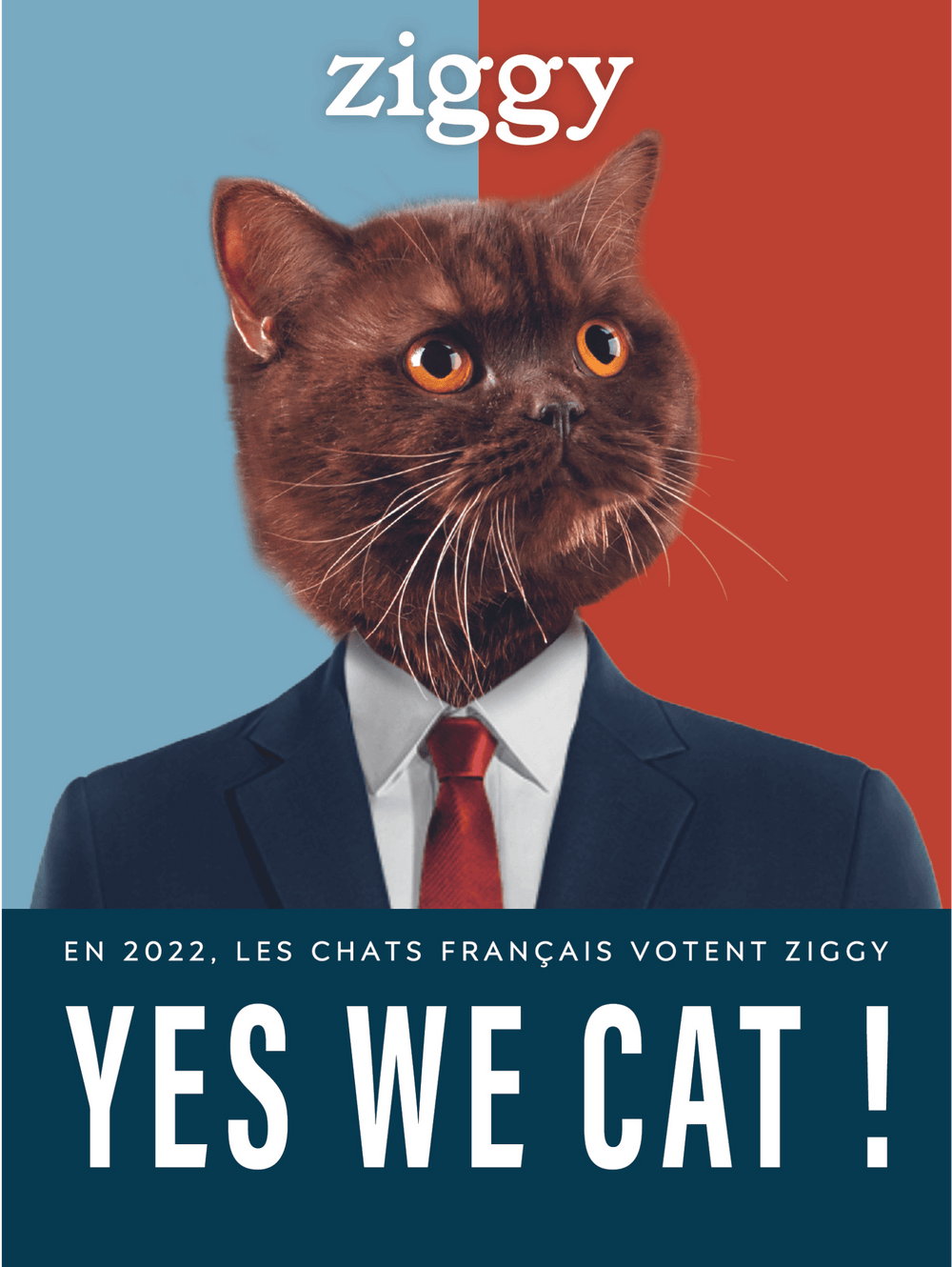 Affiche Ziggy Yes We Cat de la campagne présidentielle