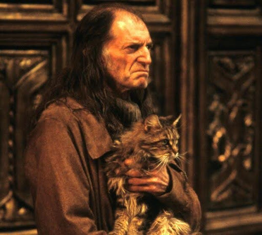 Chat Miss Teigne dans Harry Potter