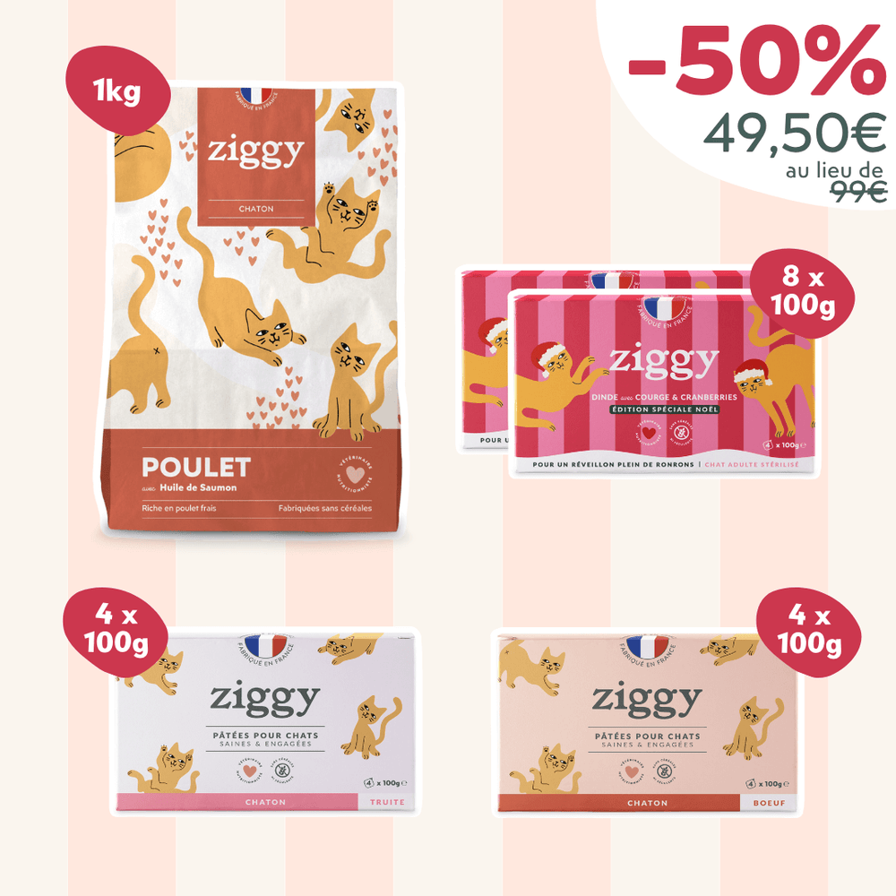 Coffret Chaton - Black Catday