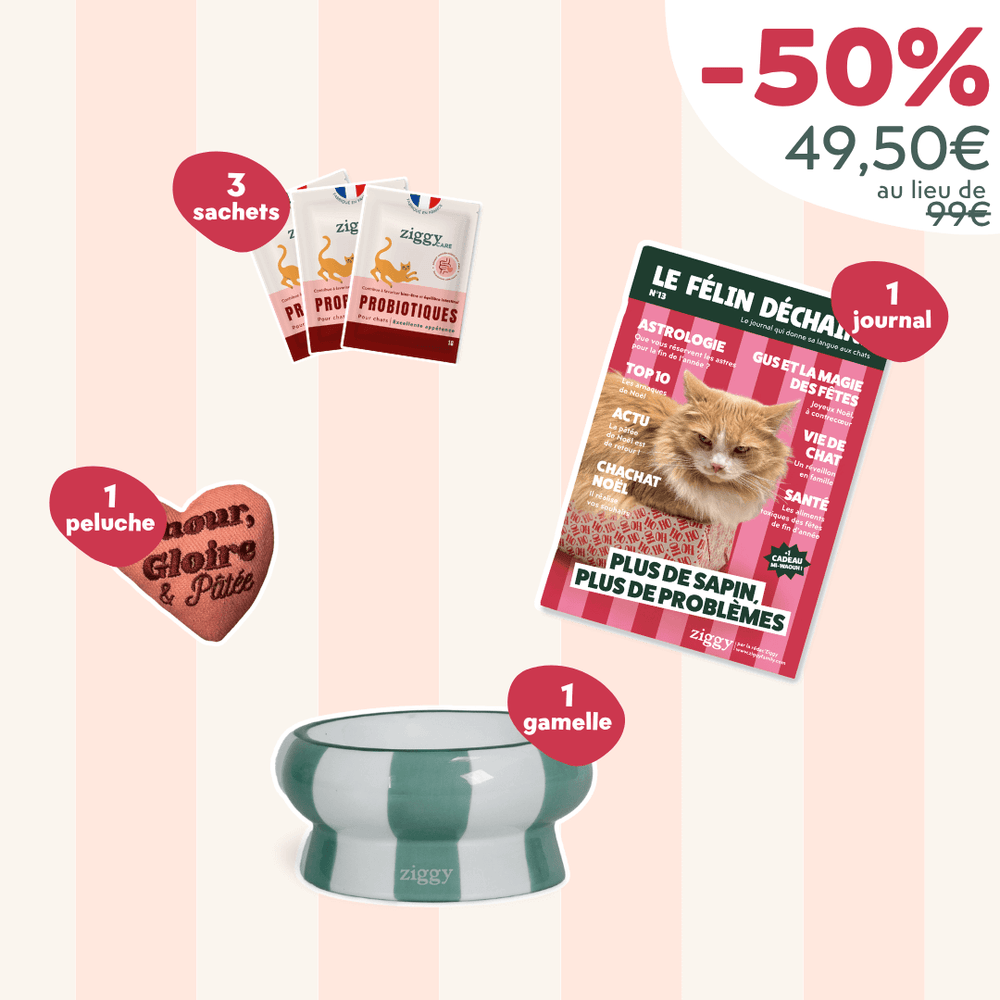 Coffret Chaton - Black Catday