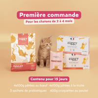 Contenu du kit d'essai pour les chatons de 2 à 4 mois