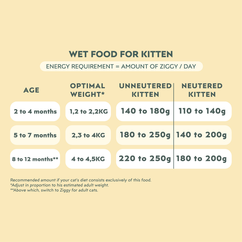 Quantité de pâtées donner à son chaton de 2 à 10 mois