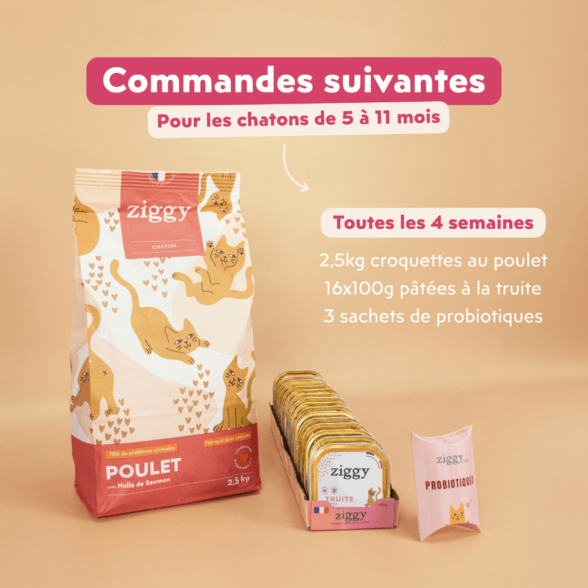 Contenu du renouvellement du kit d'essai pour les chatons de 5 à 11 mois