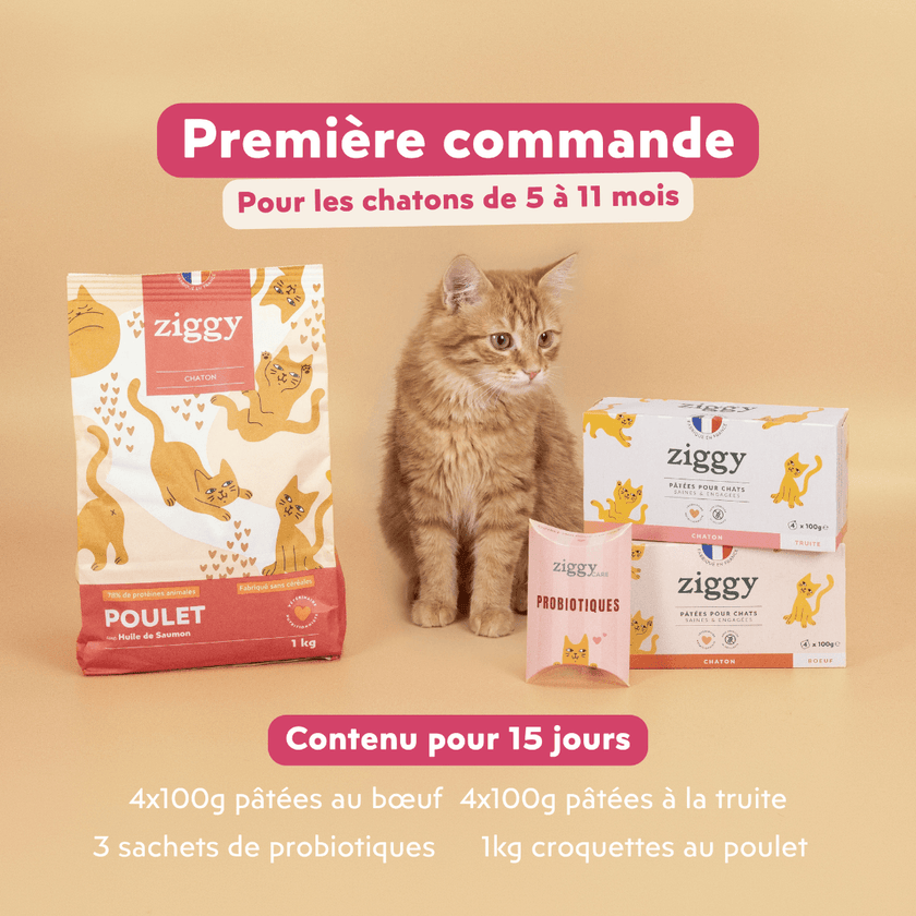 Contenu du kit d'essai pour les chatons de 5 à 11 mois