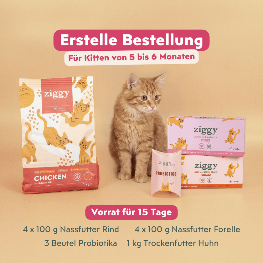Contenu du Kit d'essai chaton